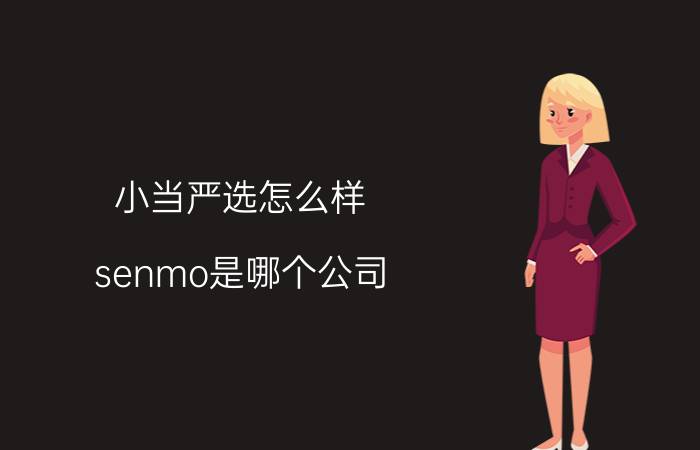 小当严选怎么样 senmo是哪个公司？